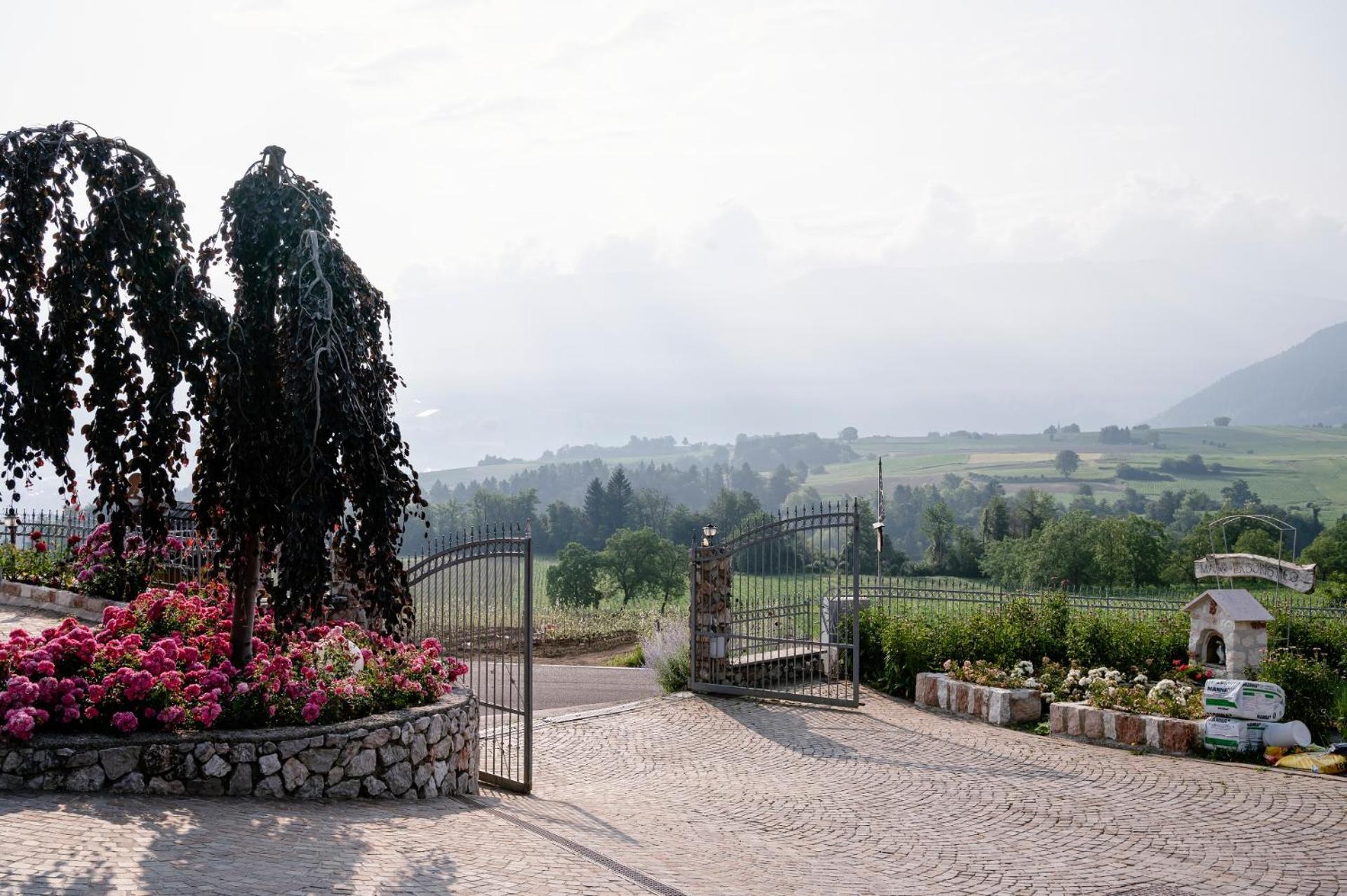 Agritur Maso Alle Rose B&B E Restaurant Balbido-rango Bagian luar foto